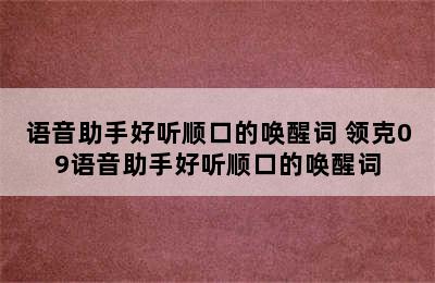 语音助手好听顺口的唤醒词 领克09语音助手好听顺口的唤醒词